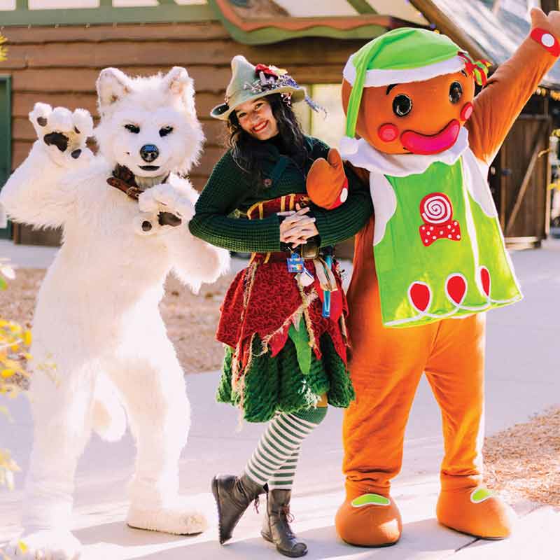 Holiday Magic 1